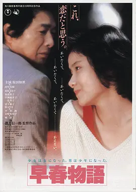 我的团长我的团